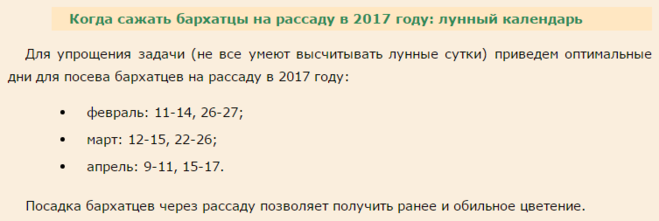 Когда садить бархатцы на рассаду на урале. Сроки посева бархатцев на рассаду. Бархатцы когда сажать на рассаду. Когда сеять бархотки на рассаду. Посев семян бархатцев на рассаду.