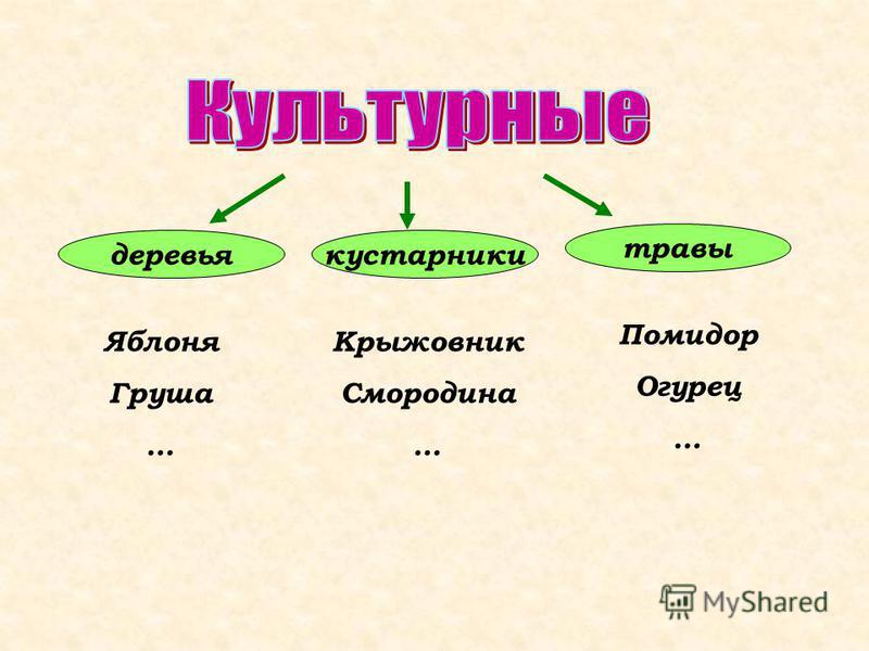 Культурные травы