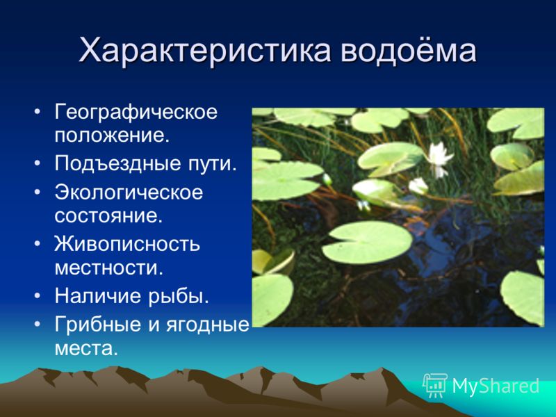 Условия водоема. Особенности водоемов. Общая характеристика водоемов. Характер водоема. Характеристика пруда.