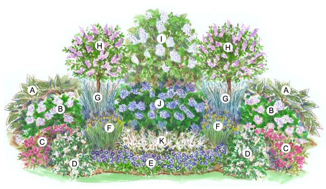 Схемы цветочных клумб 