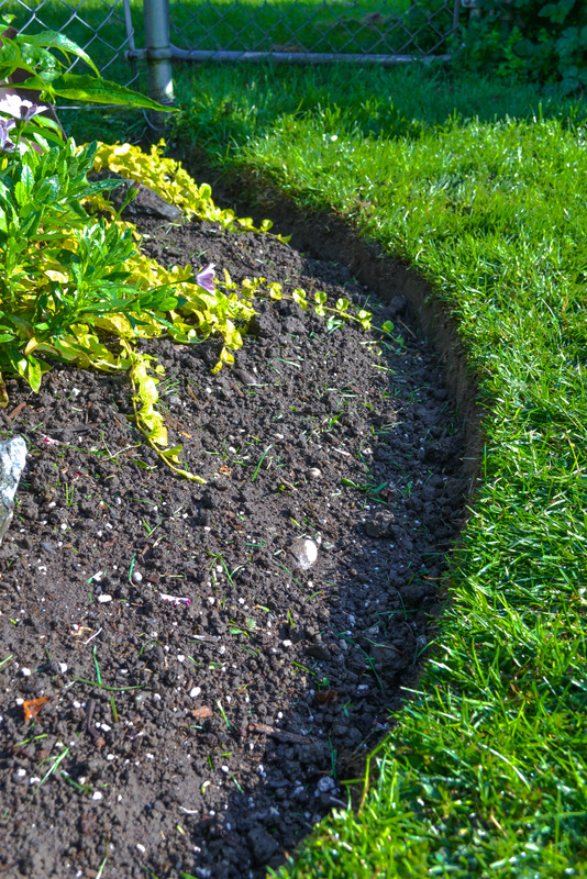 Learn How To Edge Flowerbeds Like A Pro! All you need are a few simple garden tools. This method is easy and the results stunning! No more broken plastic edging! Click to learn how, with a video! #gardening #flowerbeds #flowerbededges