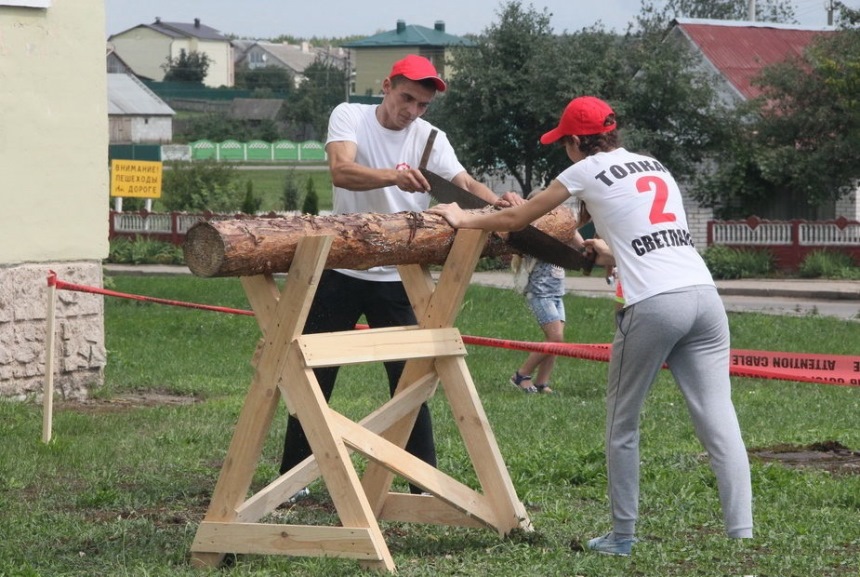 Однажды поп решил нанять балду для того чтобы распилить на дрова некоторое количество бревен