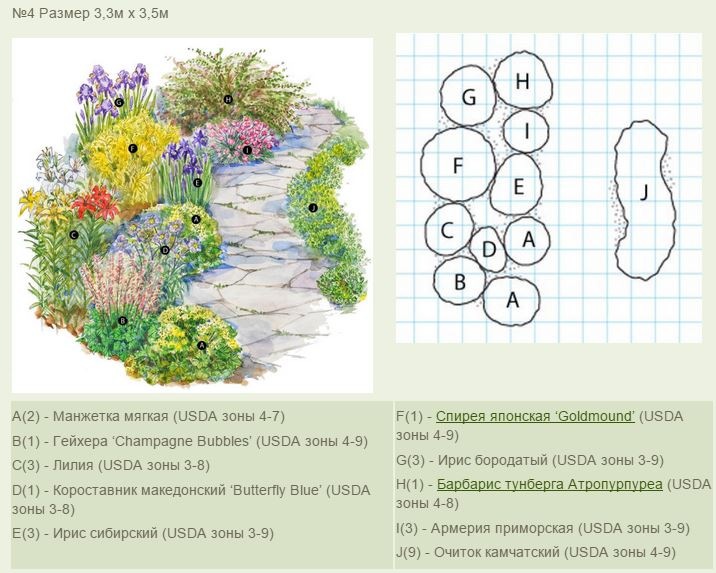Схемы цветников на даче с описанием цветов для начинающих
