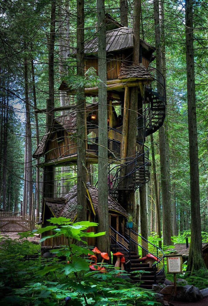 Дома на деревьях: хижина с винтовой лестницей