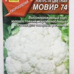 Сорт цветной капусты Мовир 74