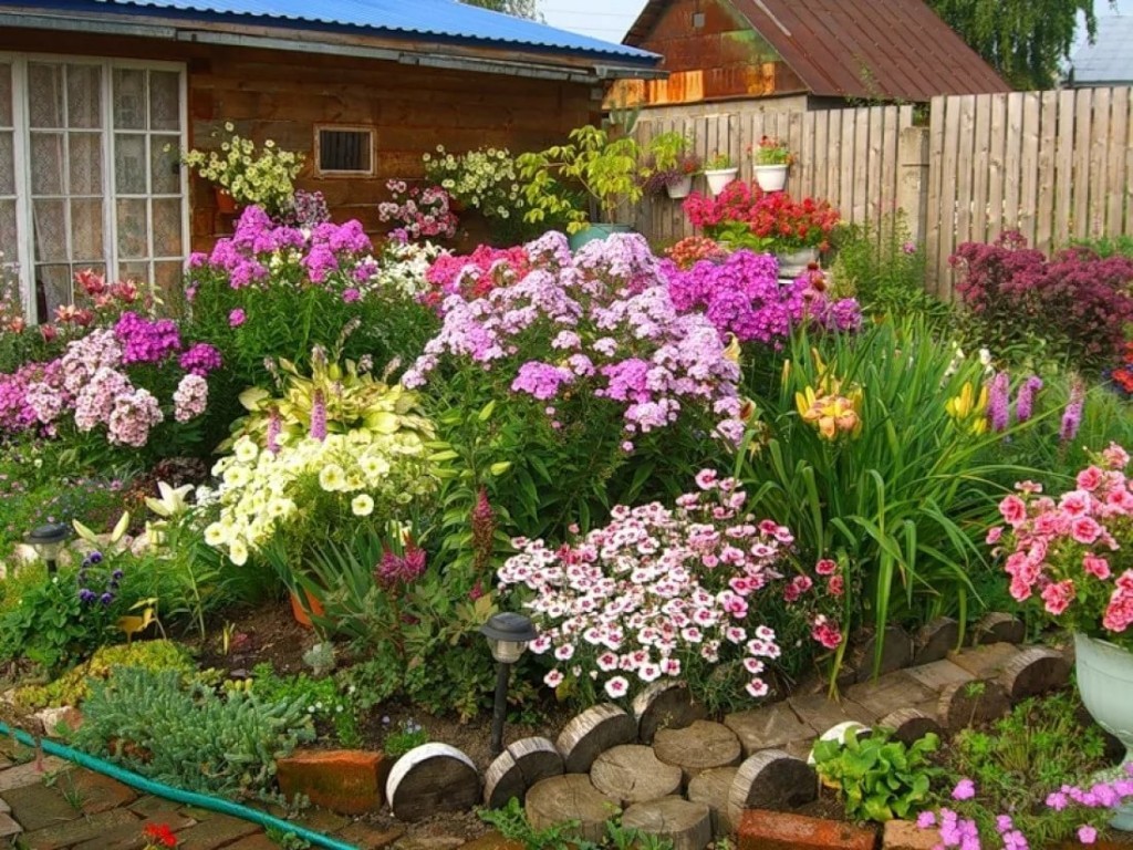 Цветущая клумба на садовом участке