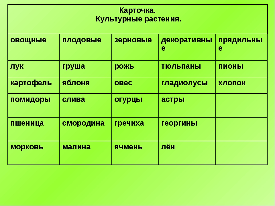 Описание культурного растения 6 класс по плану