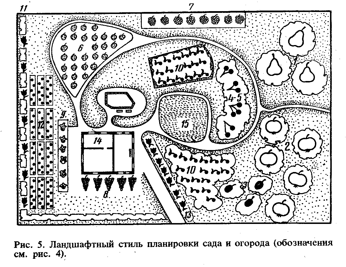 Схема посадки плодовых кустарников и деревьев