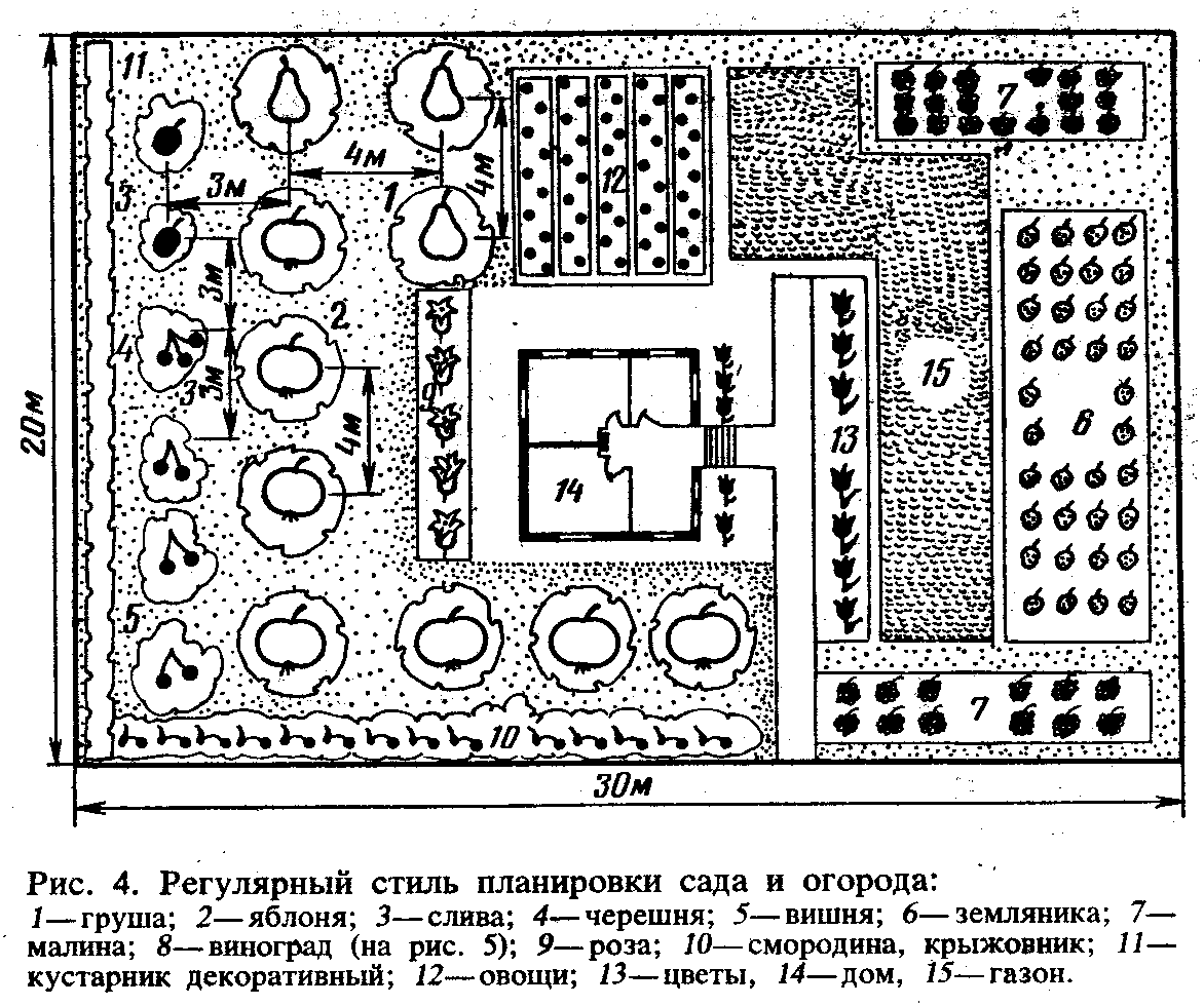 Расположение плодовых деревьев в саду схема