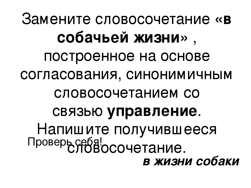 Замените словосочетание ветка ели построенное на основе