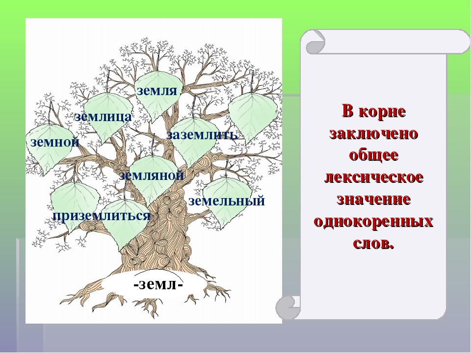 Дерево русское слово. Дере однокореныых слов. Дерево с однокоренными словами. Много однокоренных слов. Дерево с однокоренными словами 3 класс.