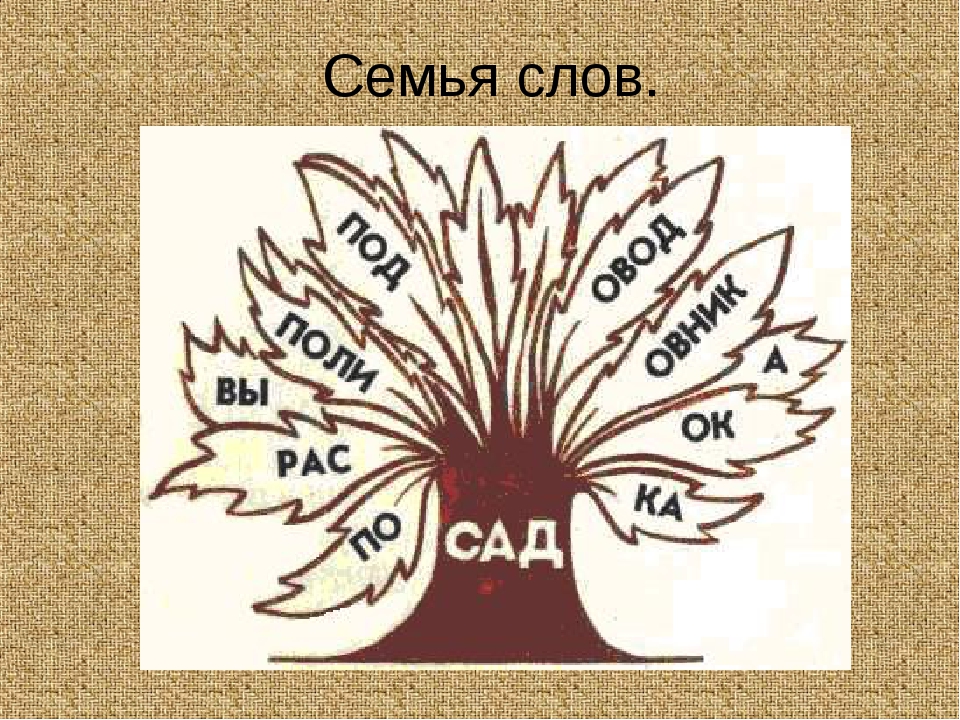 Однокоренные слова к слову семья 3 класс проект семья слов