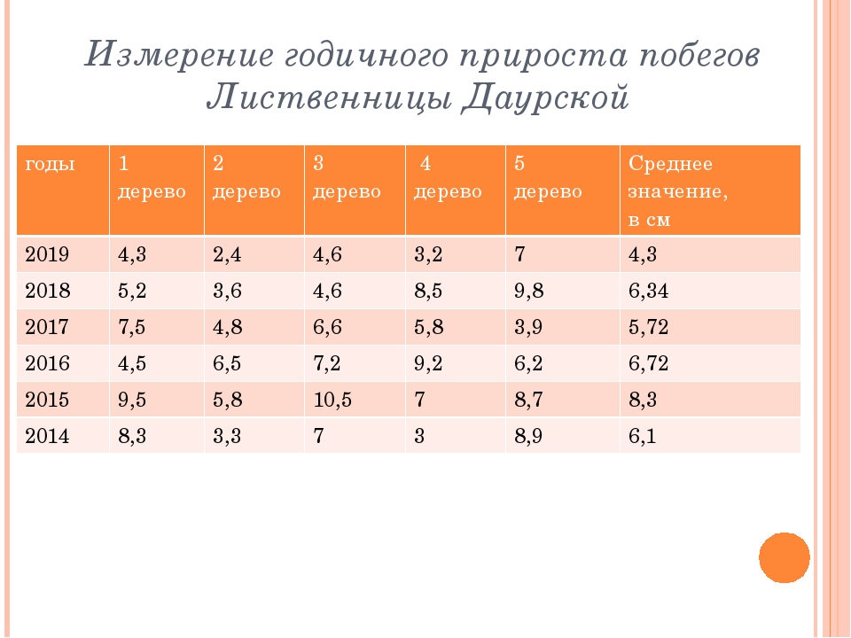 Как вы думаете почему годовой прирост древесины. Возраст лиственницы по диаметру. Средний годовой прирост деревьев. Прирост деревьев за год. Средний годовой прирост деревьев таблица.