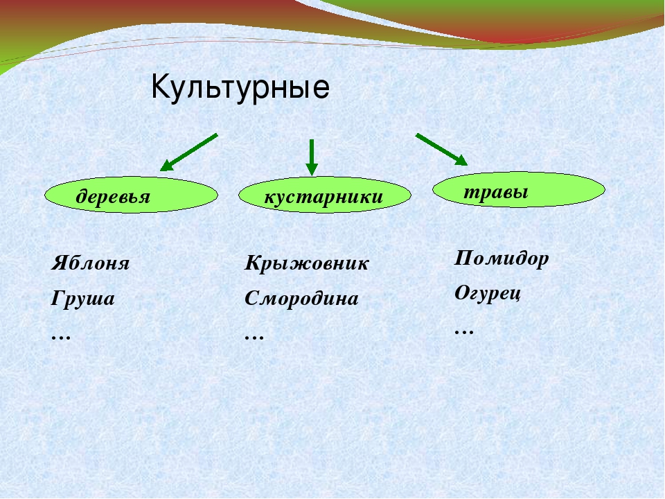 Называют вторым. Культурные деревья. Культурные растения деревья. Культурные травы. Культурные деревья кустарники травы.