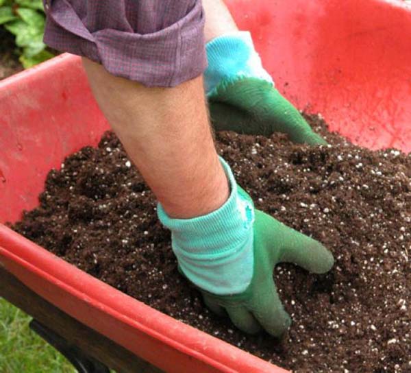 Садовод набирает питательный перегной руками в перчатках из садовой тачки