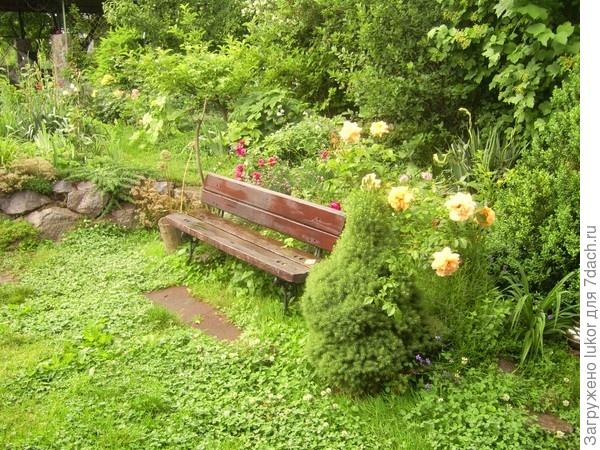 Лавочки, скамейки, качели, колодец в качестве декоративных элементов сада