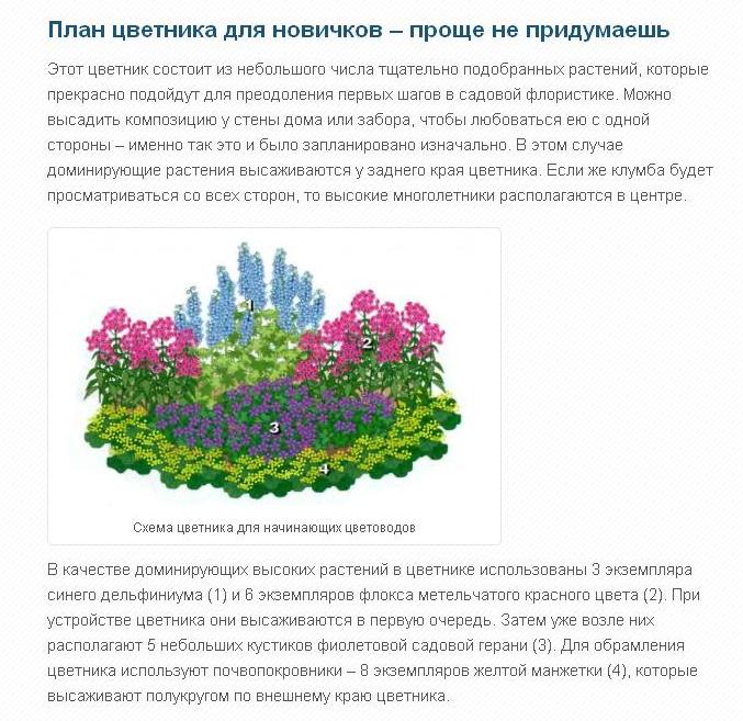 Какие растения доминируют. Схемы клумб с описанием цветов. Описание клумбы. Схема простой клумбы. Цветники с описанием.