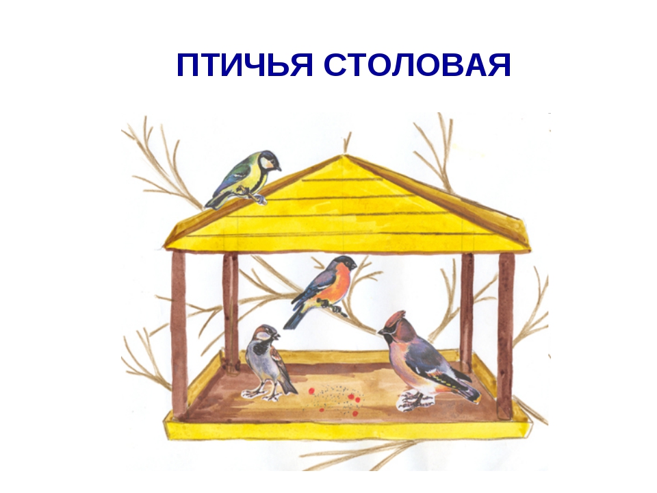 Картинки для распечатки птицы