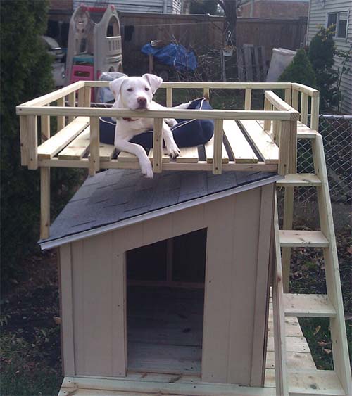 dog house plans