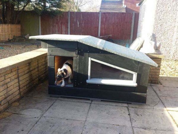 dog house plans