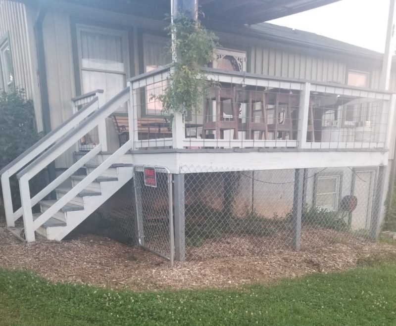 the finished dog kennel