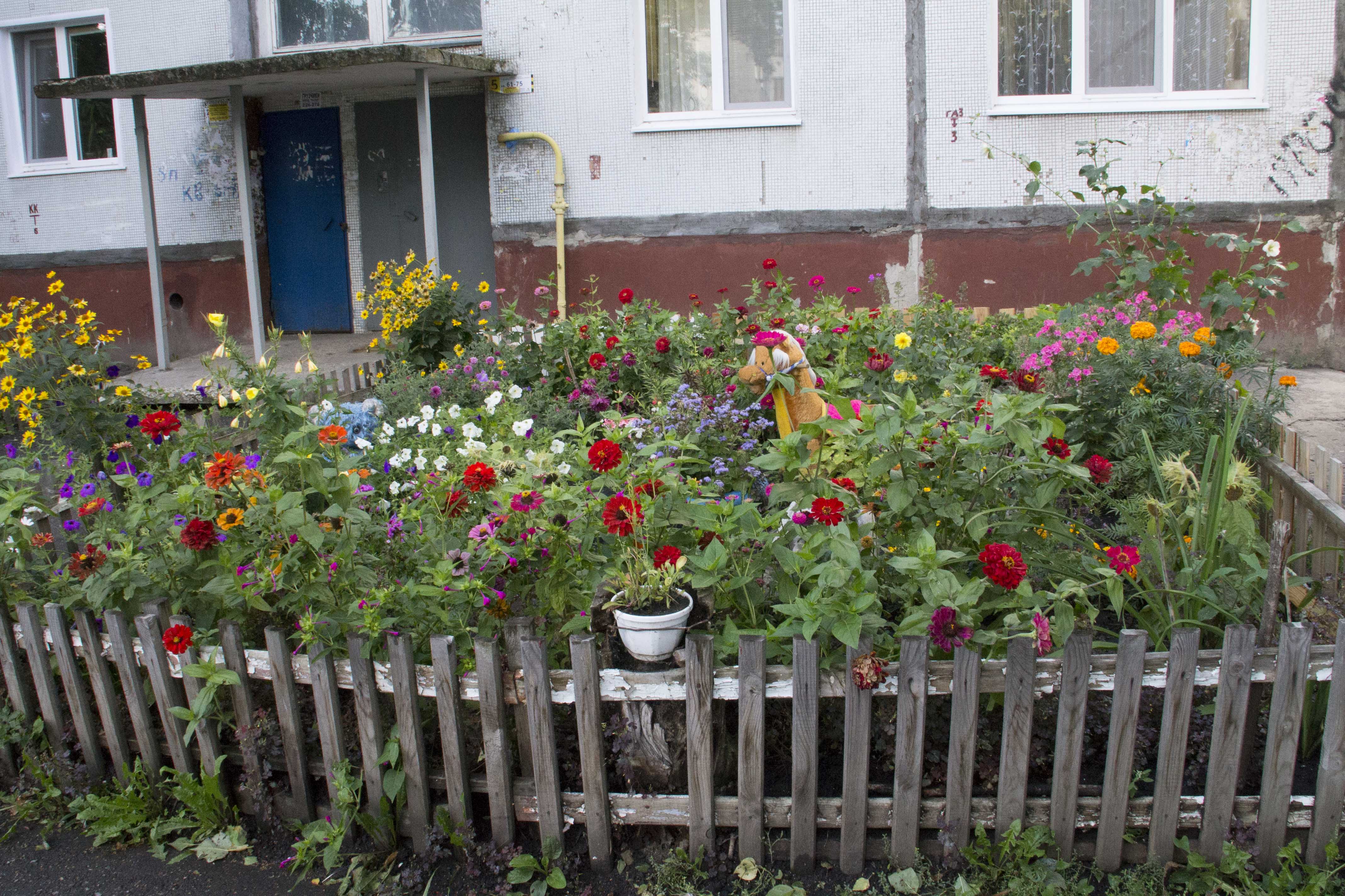 Как красиво посадить цветы в палисаднике перед домом в деревне фото и название