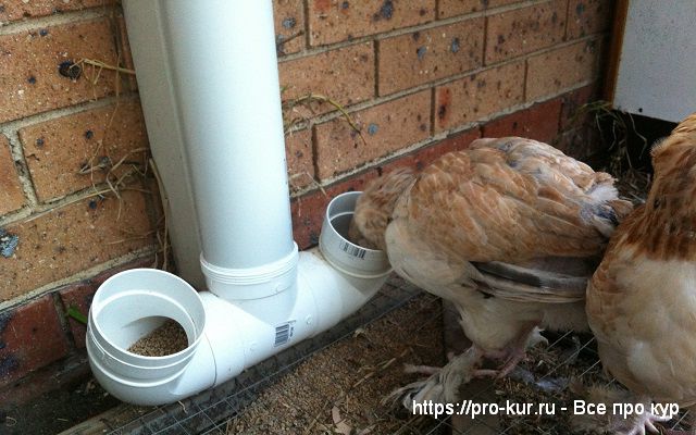 Кормушка для кур своими руками из водосточной трубы. 