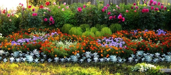 Как сделать красивый цветник на частном земельном участке?