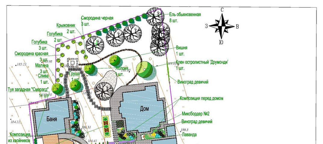 Схема посадки деревьев и кустарников на участке 6 соток