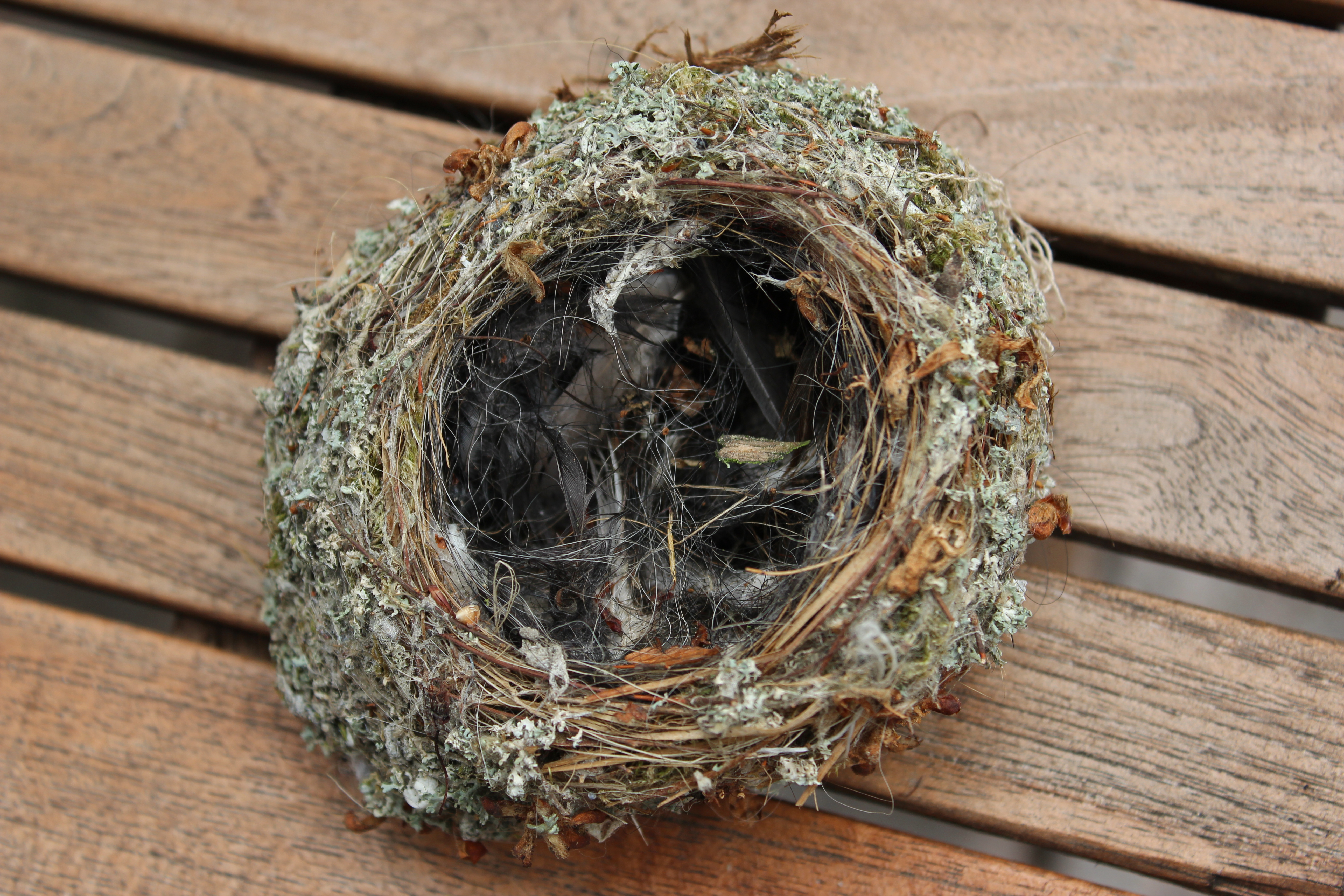 Штыркелово гнездо