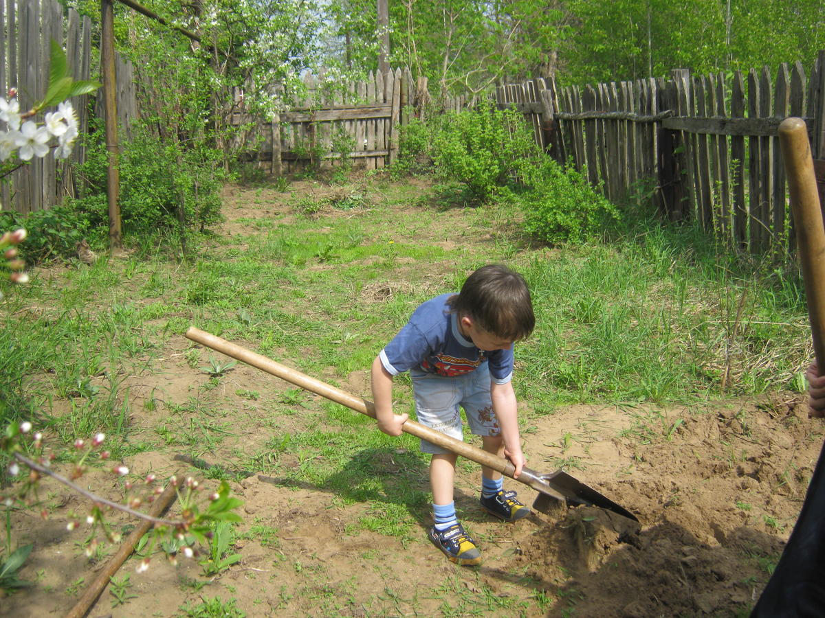Нужно ли перекапывать землю. Копать огород. Ручная копка огорода. Лопата для грядок. Лопата копать огород.