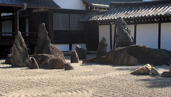 Bonsai courses