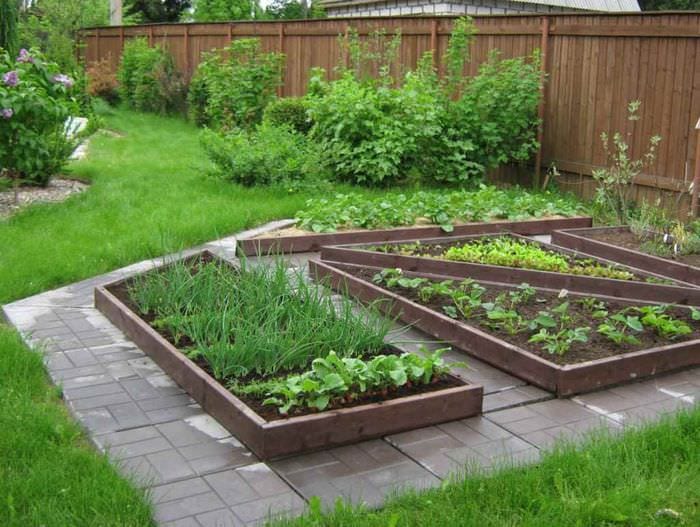 идея красивого дизайна огорода на даче