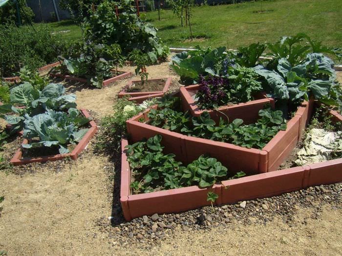 пример красивого дизайна огорода в частном дворе