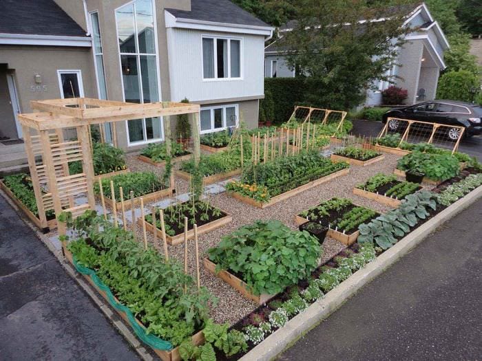идея яркого дизайна огорода в частном дворе