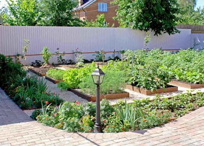вариант красивого дизайна огорода в частном дворе