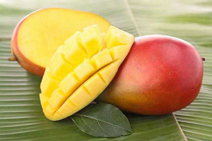 где растет манго фрукт