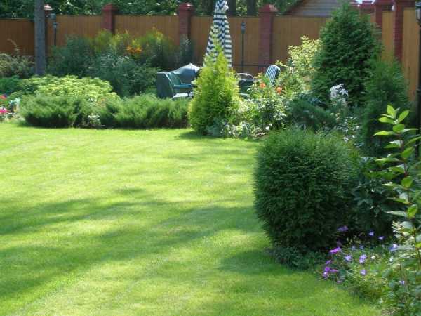 Оформление газонов и клумб возле дома фото – Клумбы во дворе частного дома: фото и секреты оформления